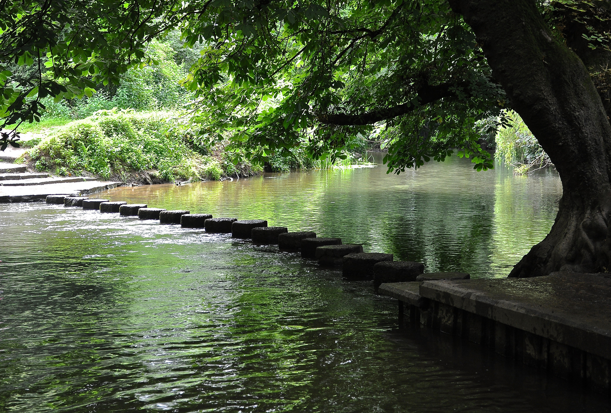 National Trust Stepping Stones