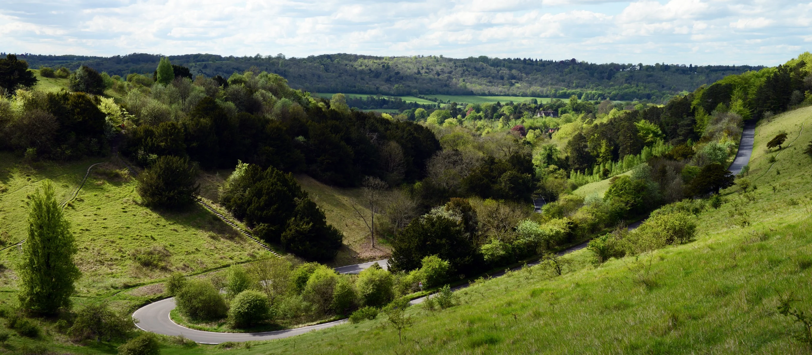 National Trust Box Hill
